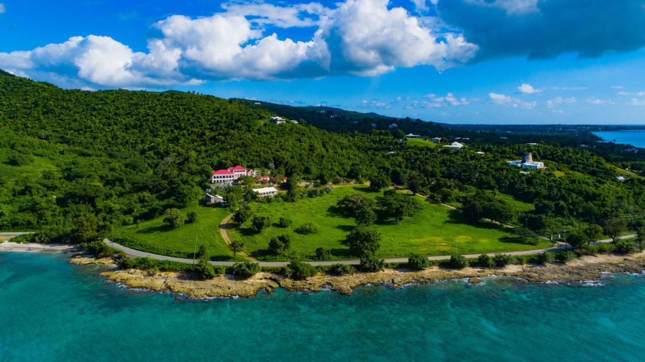 Feather Leaf Inn Frederiksted Luaran gambar