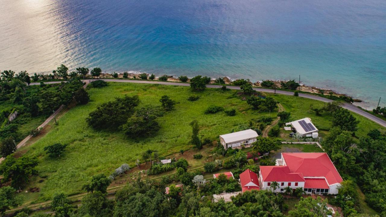 Feather Leaf Inn Frederiksted Luaran gambar