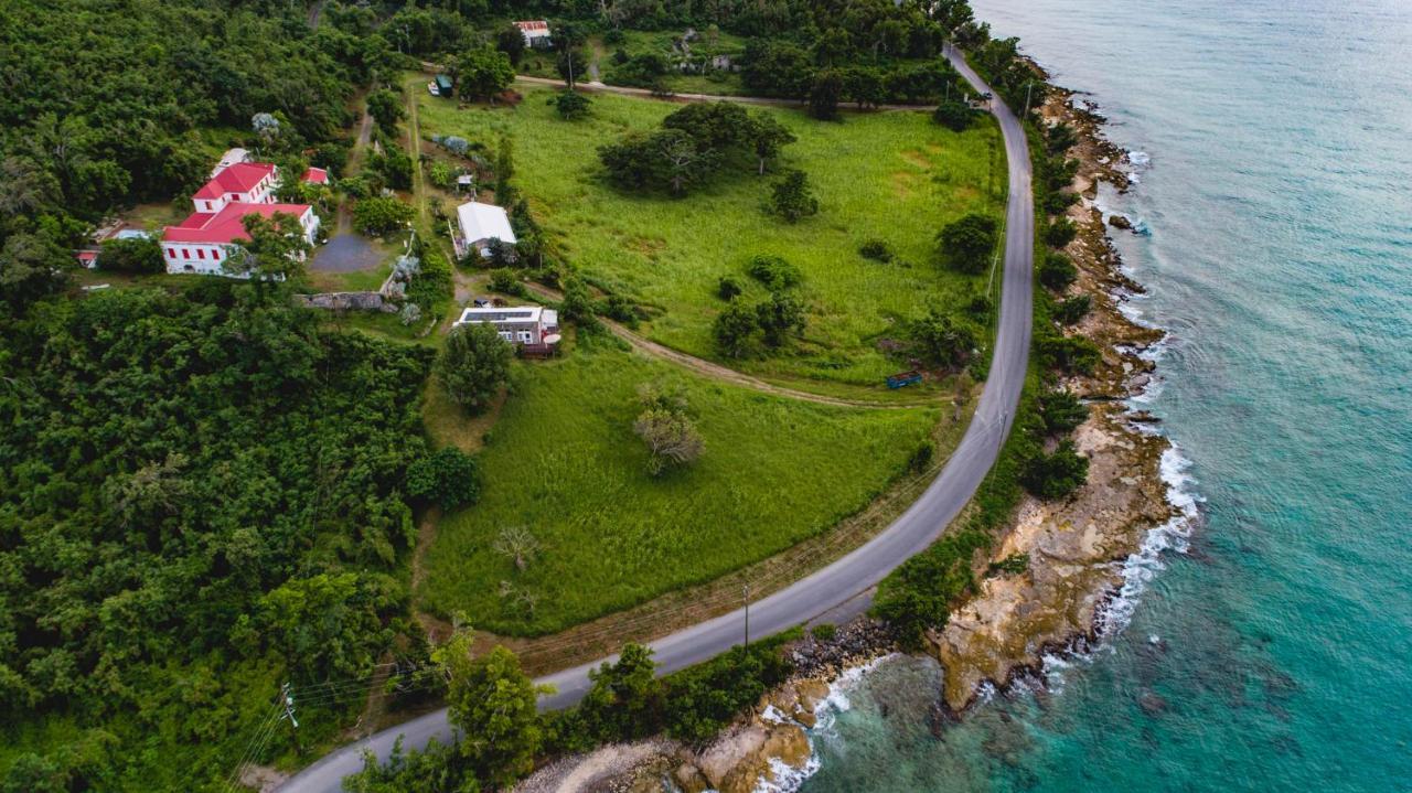 Feather Leaf Inn Frederiksted Luaran gambar
